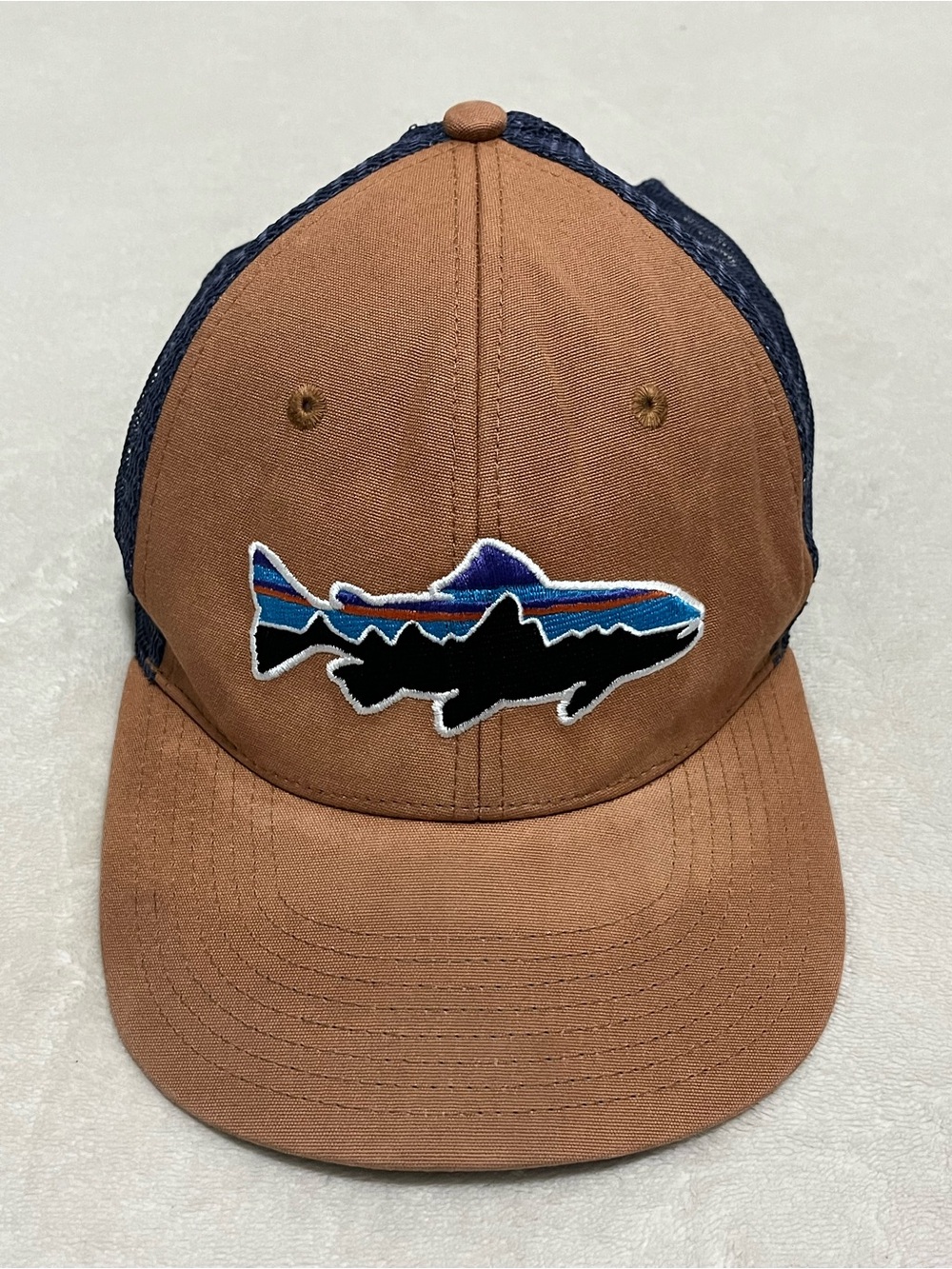 Patagonia Fitz Roy Trout Trucker Hat